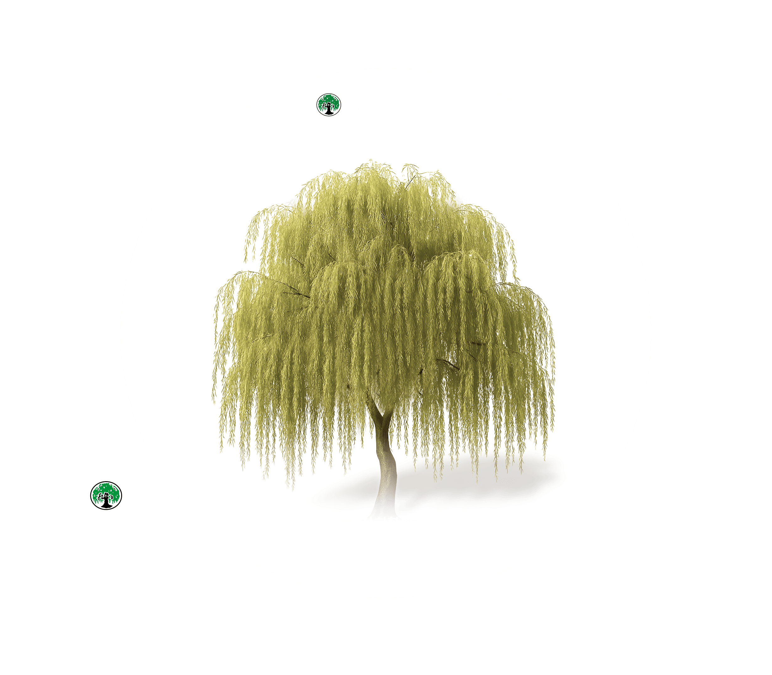 공익사업 - 재단법인 유한재단, 제약사업 - 유한양행, 교육사업 - 유한학원 / 유한재단은 유한양행, 유한학원과 함께 사회환원 시스템을 운영하고 있습니다.