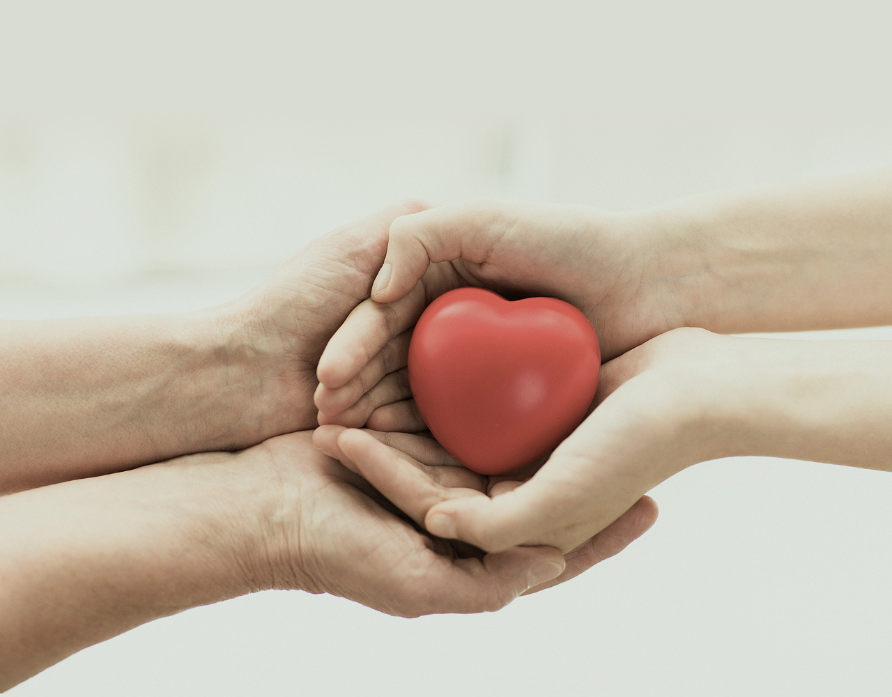 재해구호사업 사진